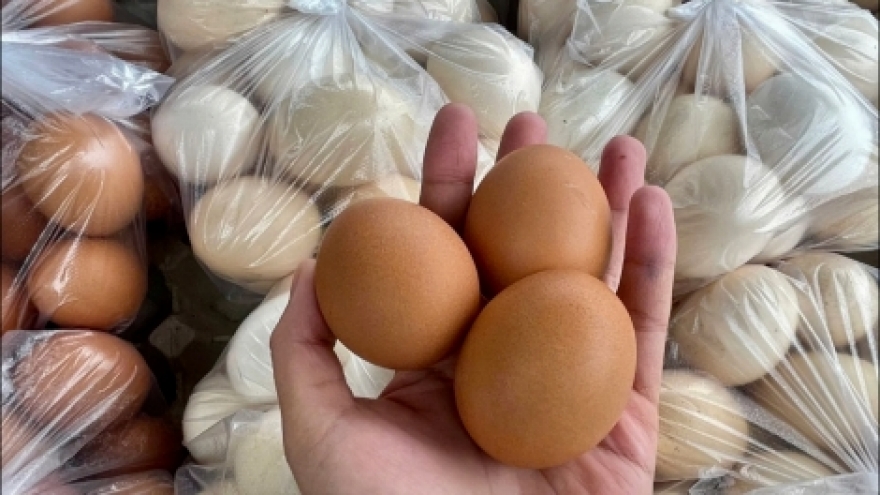 Thứ trưởng Bộ Nông nghiệp và Môi trường lên tiếng về thông tin trứng gà giả
